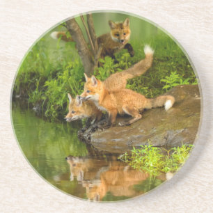 USA, Minnesota, Sandstone, Minnesota Wildlife Coaster