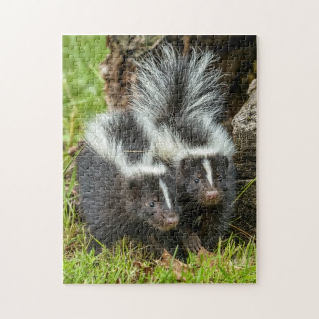 USA, Minnesota, Sandstone, Minnesota Wildlife Jigsaw Puzzle (Vertical)
