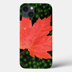 USA, Missouri, Mark Twain National Forest iPhone 13 Case