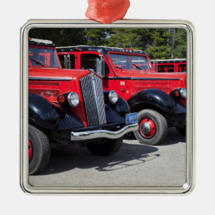 USA, Montana, East Glacier Park, gateway to Metal Tree Decoration