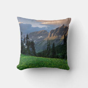 USA, Montana, Glacier National Park, Logan Pass Cushion