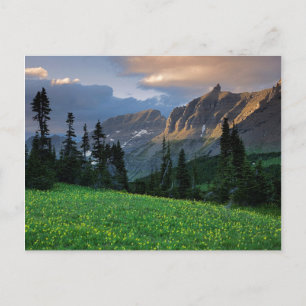 USA, Montana, Glacier National Park, Logan Pass Postcard