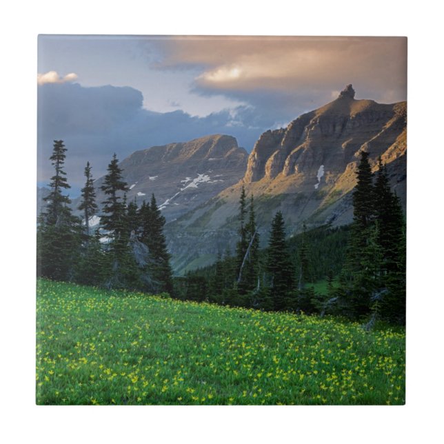 USA, Montana, Glacier National Park, Logan Pass Tile (Front)
