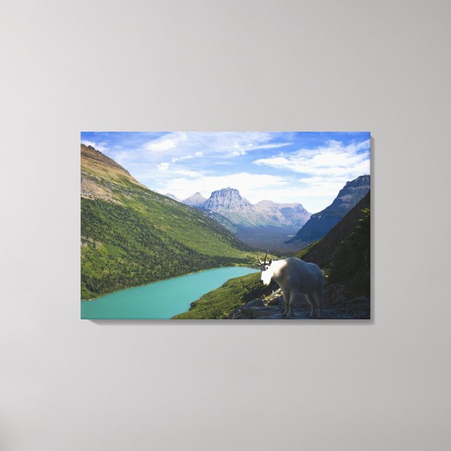 USA, Montana, Glacier National Park, Mountain Canvas Print (Front)