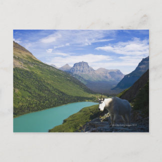 USA, Montana, Glacier National Park, Mountain Postcard