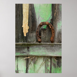 USA, Montana. Rusty horseshoe on old fence Poster
