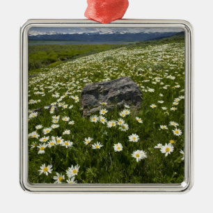 USA, Montana, Wild Daisy blooming in meadow by Metal Tree Decoration