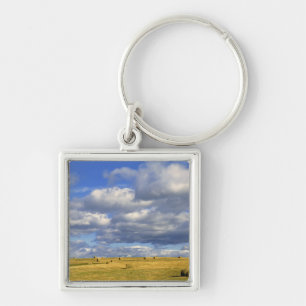 USA, Nebraska, Morrill County. Golden hay Key Ring