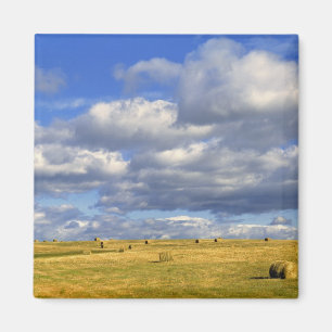 USA, Nebraska, Morrill County. Golden hay Magnet