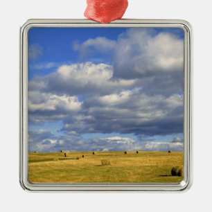 USA, Nebraska, Morrill County. Golden hay Metal Tree Decoration