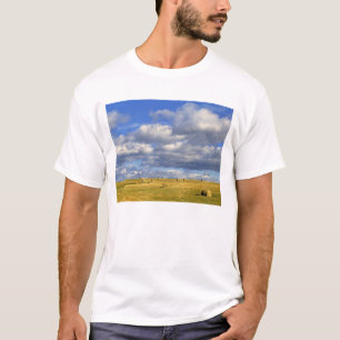 USA, Nebraska, Morrill County. Golden hay T-Shirt
