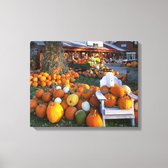 USA, New England, Maine, Wells. Autumn Display Canvas Print (Front)