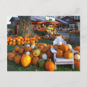 USA, New England, Maine, Wells. Autumn Display Postcard