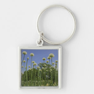 USA, New England, Massachusetts, Boston, 3 Key Ring