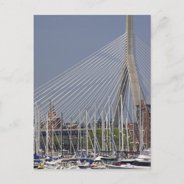 USA, New England, Massachusetts, Boston, boats Postcard (Front)