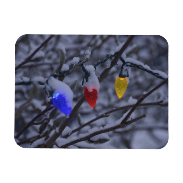 USA, New England, Massachusetts, Reading, 2 Magnet (Horizontal)