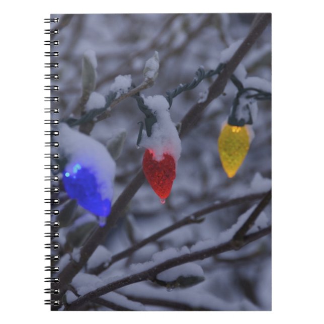 USA, New England, Massachusetts, Reading, 2 Spiral Notebook (Front)