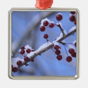 USA, New England, Massachusetts, Reading, 3 Metal Tree Decoration