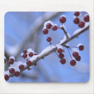 USA, New England, Massachusetts, Reading, 3 Mouse Pad