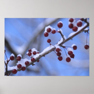 USA, New England, Massachusetts, Reading, 3 Poster
