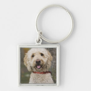 USA, New England, Massachusetts, Reading, Key Ring