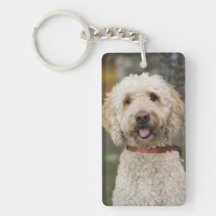 USA, New England, Massachusetts, Reading, Key Ring