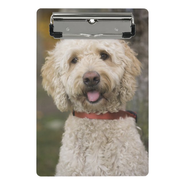 USA, New England, Massachusetts, Reading Mini Clipboard (Front)