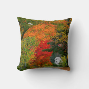 USA, New England, New Hampshire, Andover Cushion