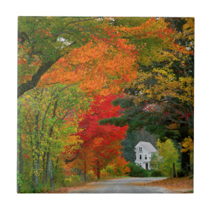USA, New England, New Hampshire, Andover Tile