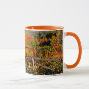 USA, New England, New Hampshire, Chocorua Mug