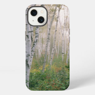 USA, New Hampshire. Birch trees in clearing fog iPhone 13 Case