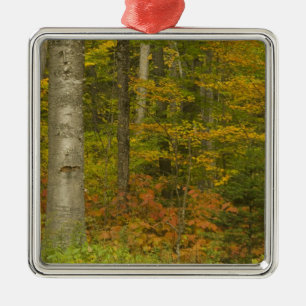USA, New Hampshire, Livermore, White Mountain Metal Tree Decoration