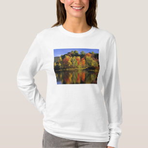 USA, New Hampshire, Moultonborough. Trees in T-Shirt