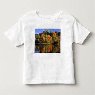 USA, New Hampshire, Moultonborough. Trees in Toddler T-Shirt