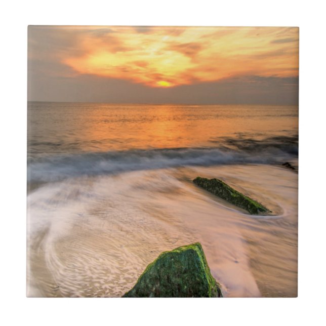 USA, New Jersey, Cape May. Scenic On Cape May 2 Tile (Front)