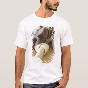 USA, New Jersey, Jersey City, Cute bulldog pup 2 T-Shirt