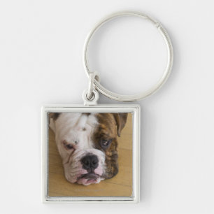 USA, New Jersey, Jersey City, Portrait of bored Key Ring