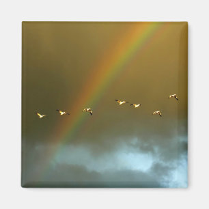 USA, New Mexico, Bosque del Apache National 6 Magnet