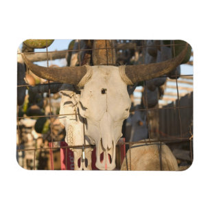 USA, New Mexico, Mesilla: Historic Mesilla Plaza Magnet