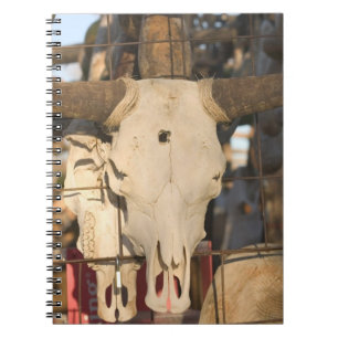 USA, New Mexico, Mesilla: Historic Mesilla Plaza Spiral Notebook