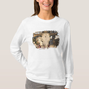USA, New Mexico, Mesilla: Historic Mesilla Plaza T-Shirt