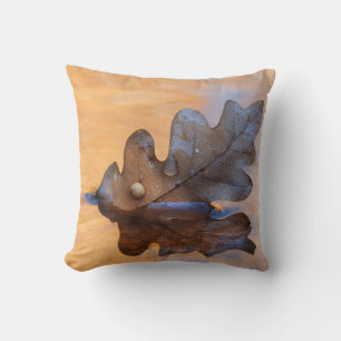 USA, New Mexico. Oak leaf in stream Cushion