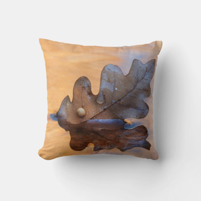 USA, New Mexico. Oak leaf in stream Cushion (Front)