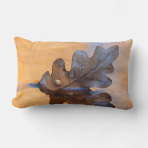 USA, New Mexico. Oak leaf in stream Lumbar Cushion