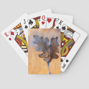 USA, New Mexico. Oak leaf in stream Playing Cards