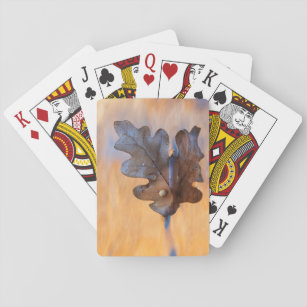 USA, New Mexico. Oak leaf in stream Playing Cards
