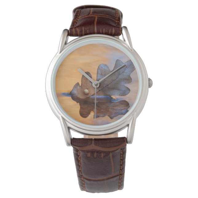 USA, New Mexico. Oak leaf in stream Watch (Front)