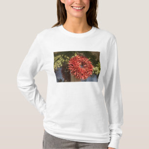 USA, New Mexico, Santa Fe: Downtown Santa Fe, 2 T-Shirt