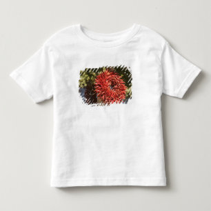 USA, New Mexico, Santa Fe: Downtown Santa Fe, 2 Toddler T-Shirt
