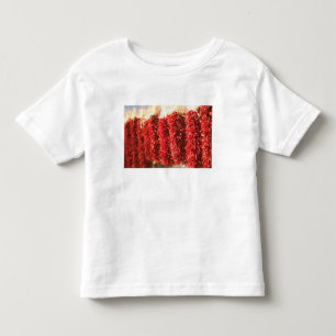 USA, New Mexico, Santa Fe: Downtown Santa Fe, 3 Toddler T-Shirt